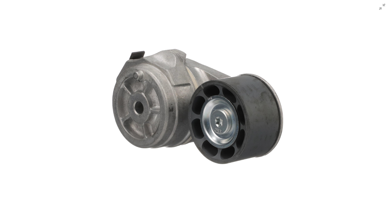 FORD MOTOR TRİGER KAYİŞ GERGİSİ İTHAL  ORJ TC56-CS
